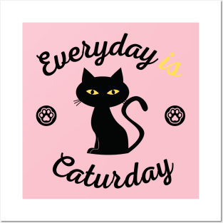 Everyday is Caturday Posters and Art